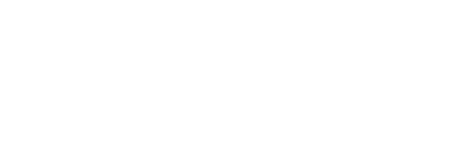 Sinexia · Éxito y bienestar